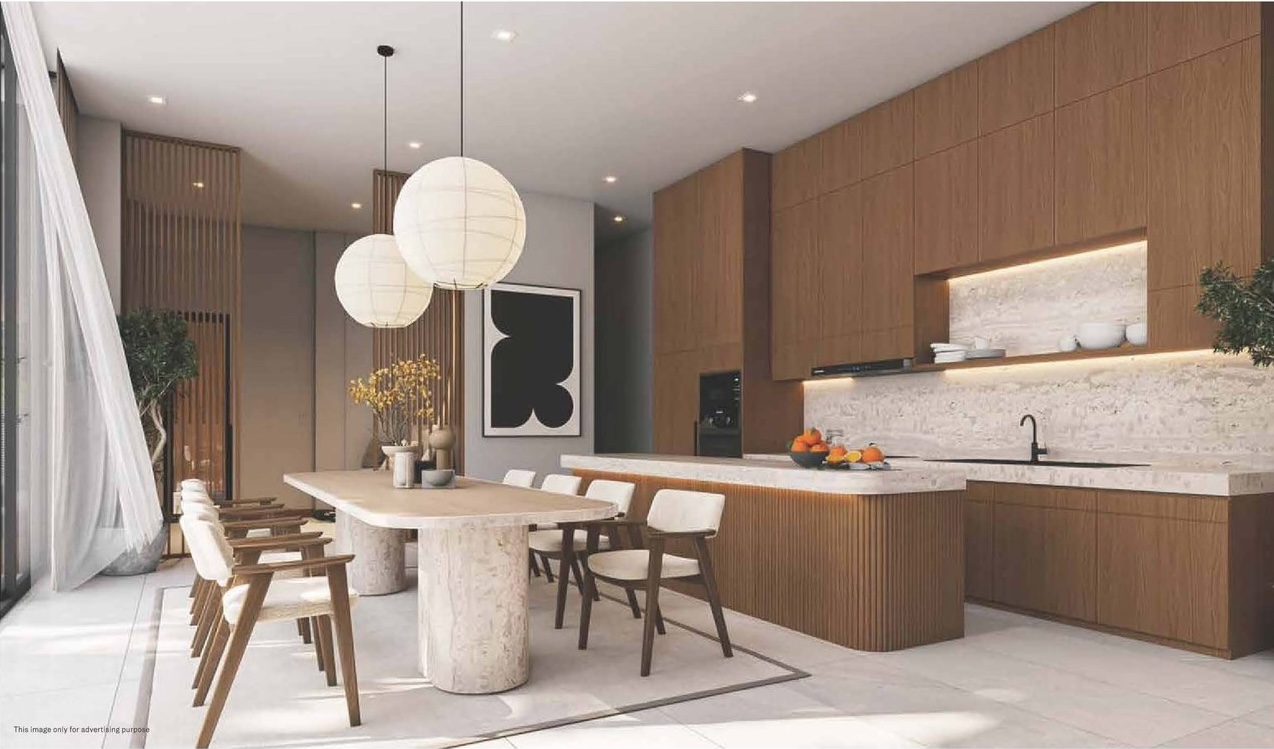 Designer Kitchen